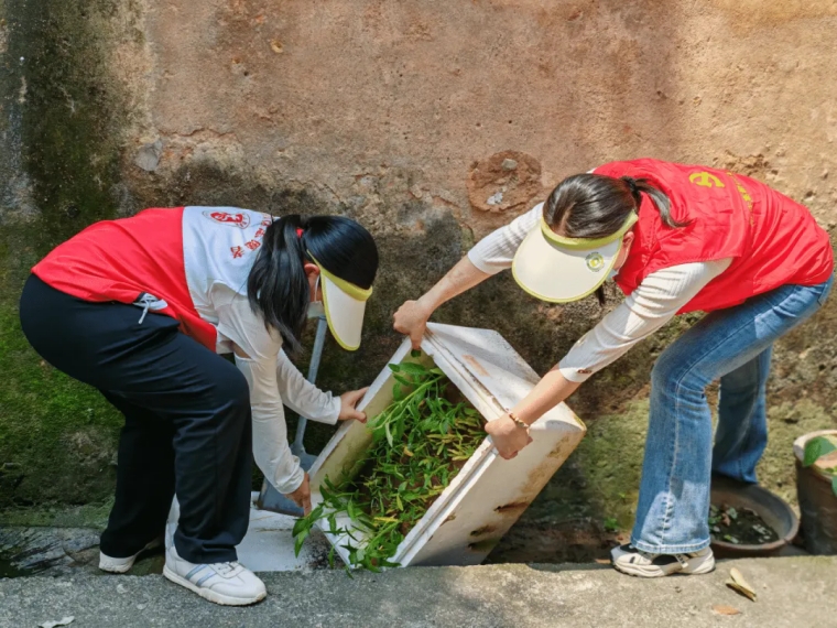 文明实践 净美城市丨防范基孔肯雅热，肇庆这群人在行动